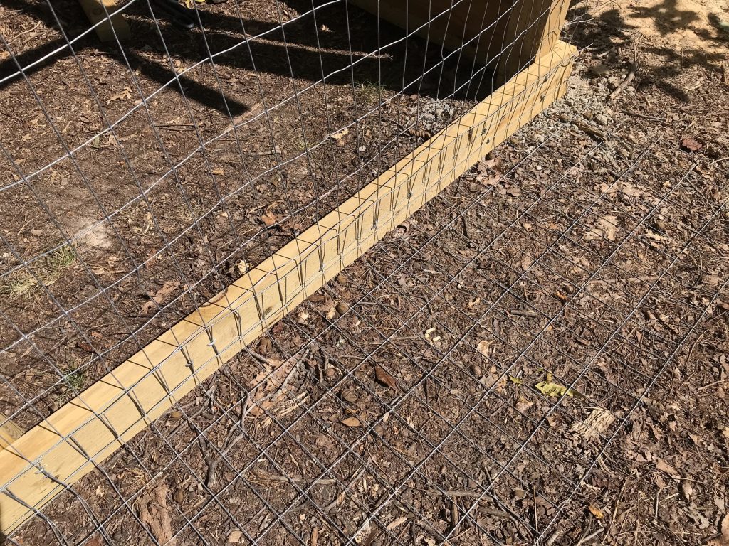 Predator Aprons and Predator Fences Best Fence